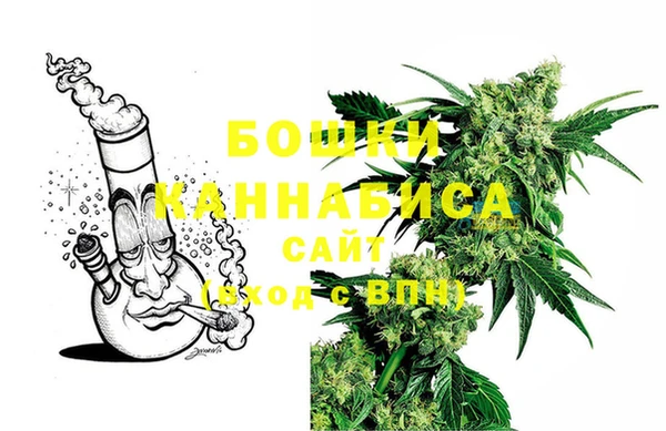 ПСИЛОЦИБИНОВЫЕ ГРИБЫ Семилуки