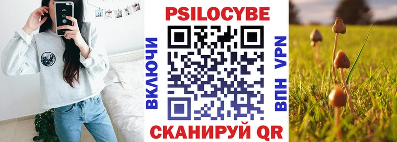 ОМГ ОМГ ссылка Железногорск-Илимский Галлюциногенные грибы ЛСД