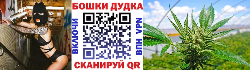 наркота  Железногорск-Илимский  Конопля ГИДРОПОН 